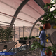 Illustration for article titled Spam, Silkworms, Hydroponics: The Speculative Future of Food on Mars